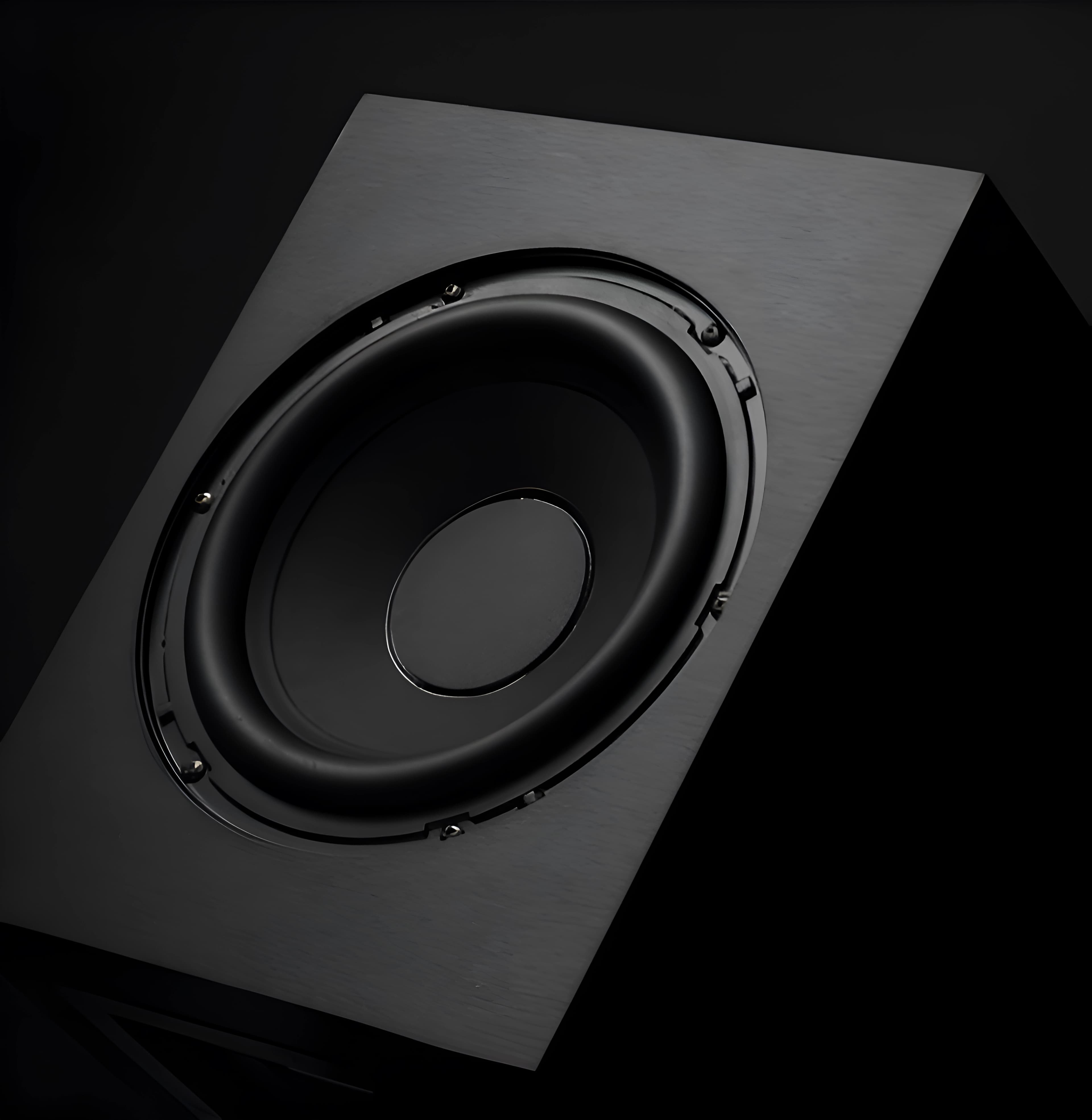Dual 10" Image