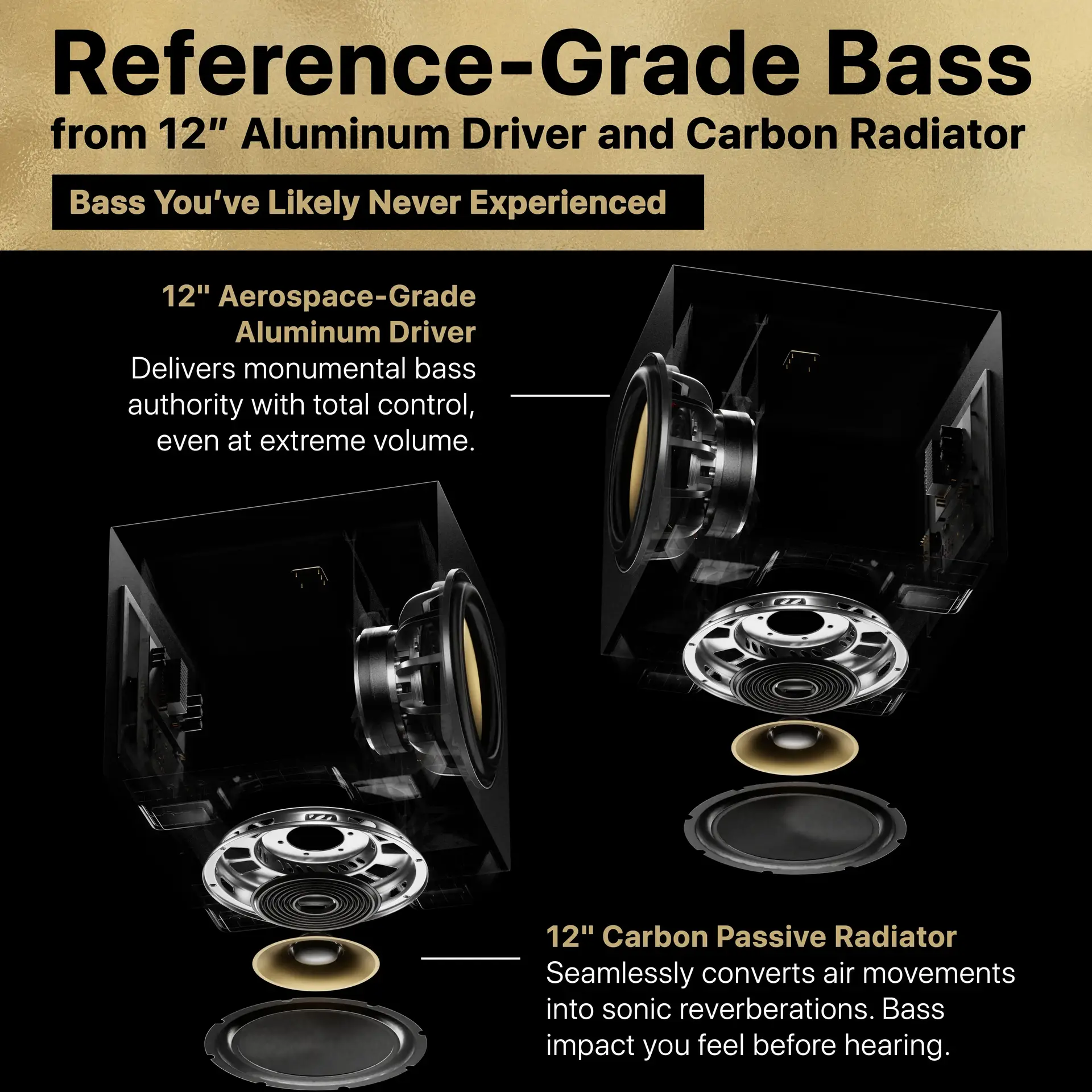 graphic of dragon dual 12's reference grade bass